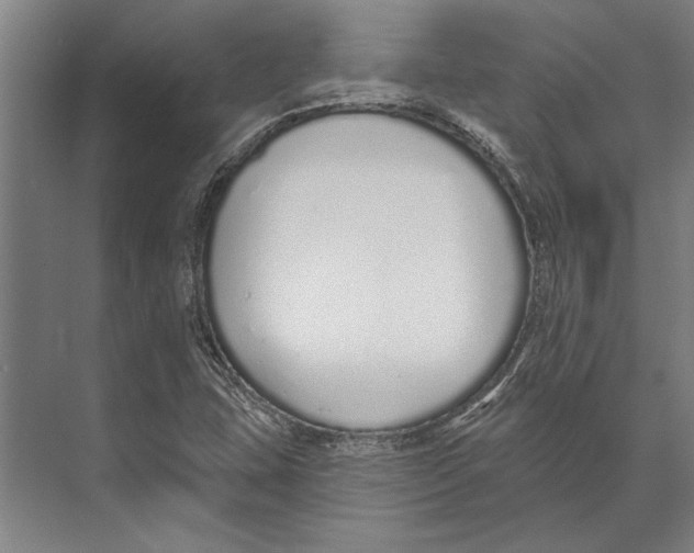 X0000071941407200608041515