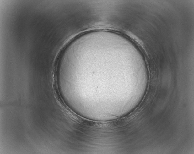 X0000071941415200608041515