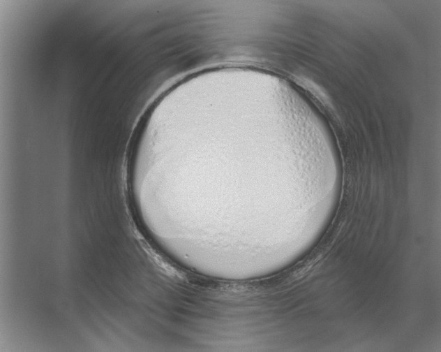 X0000071941420200608041515