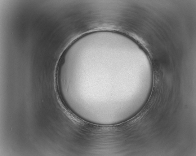 X0000071941423200608041515