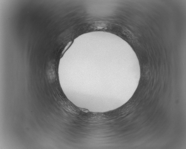 X0000071941442200608041515