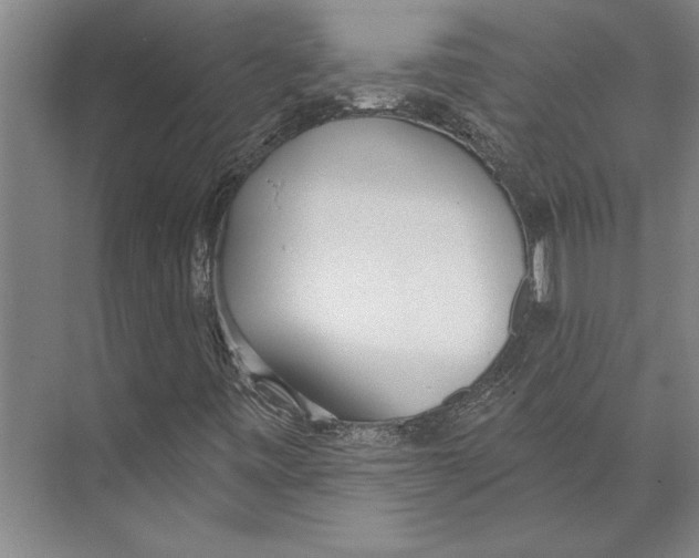 X0000071941443200608041515