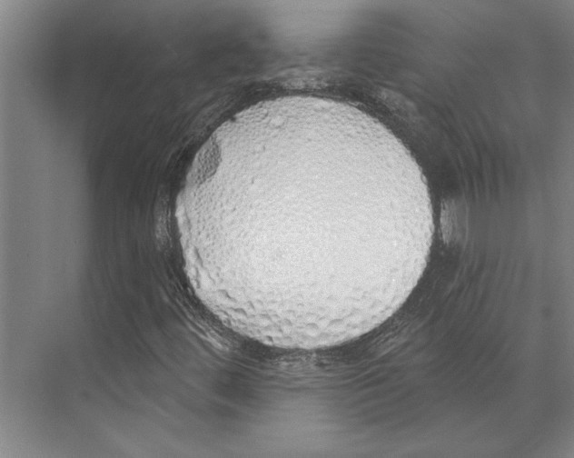 X0000071941444200608041515