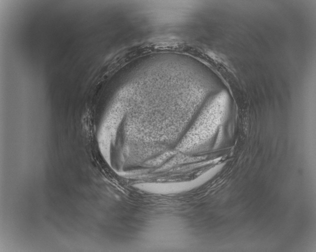 X0000071941445200608041514