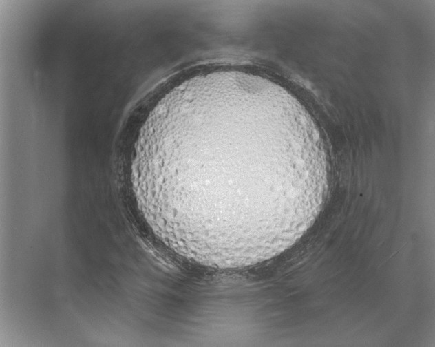 X0000071941448200608041514