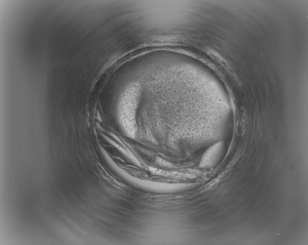 X0000071941449200608041514