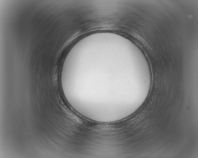 X0000071941450200608041514