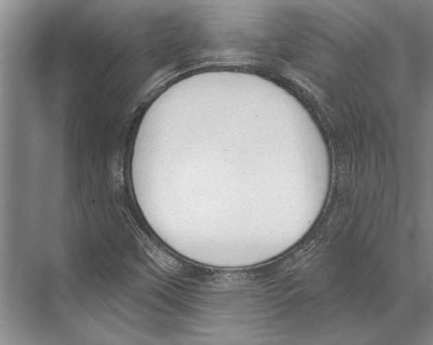 X0000071941451200608041514