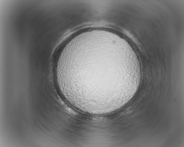 X0000071941456200608041514