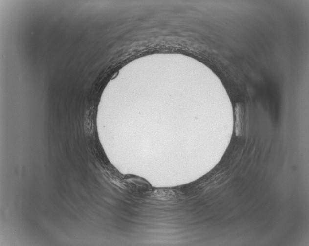 X0000071941491200608041513