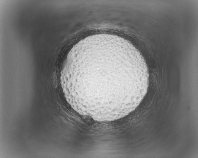 X0000071941493200608041513