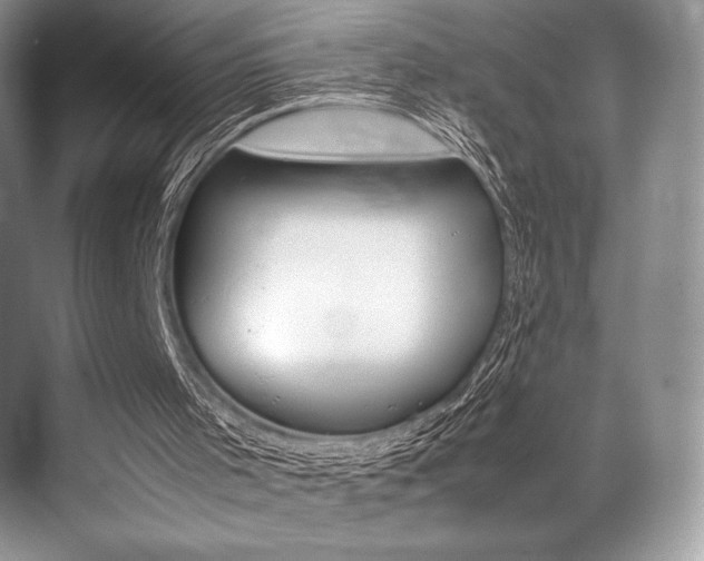 X0000071950001200607071051