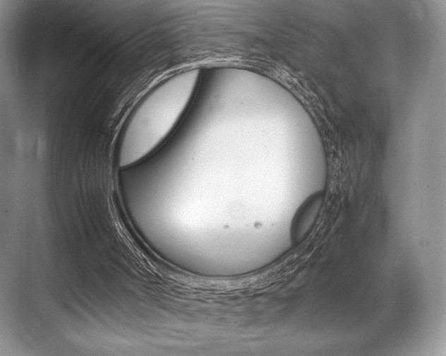 X0000071950002200607071051