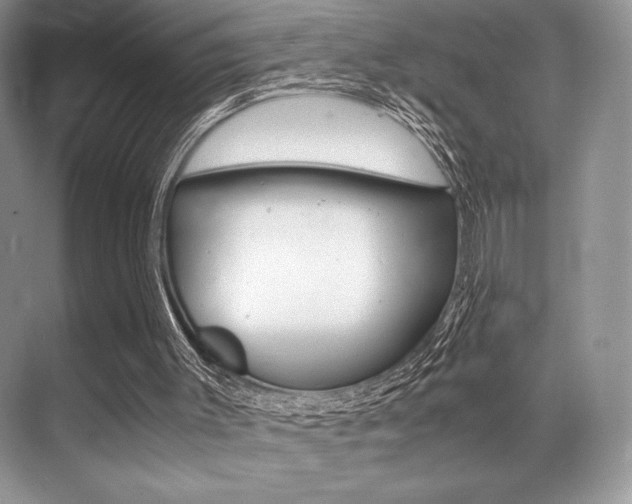 X0000071950003200607071051