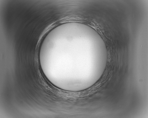 X0000071950004200607071051