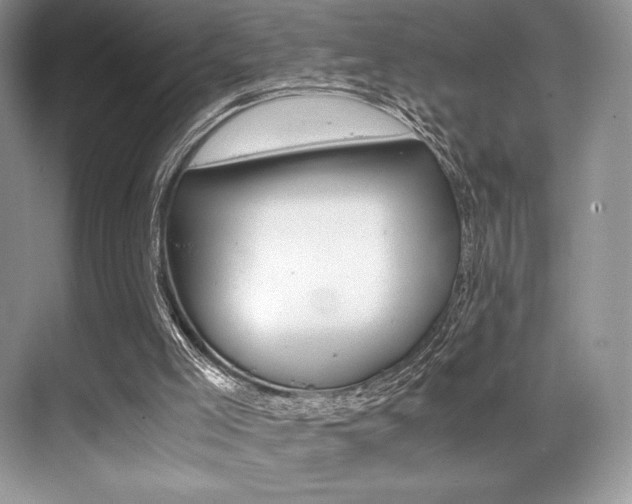 X0000071950005200607071051