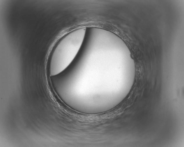 X0000071950006200607071051