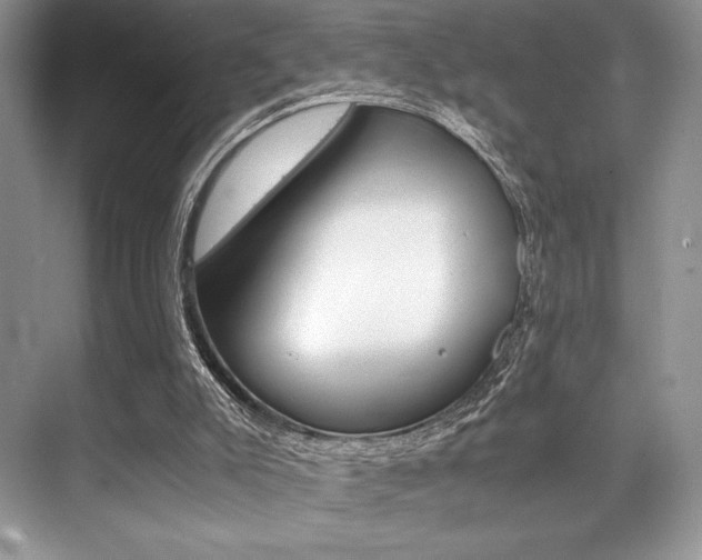 X0000071950007200607071051