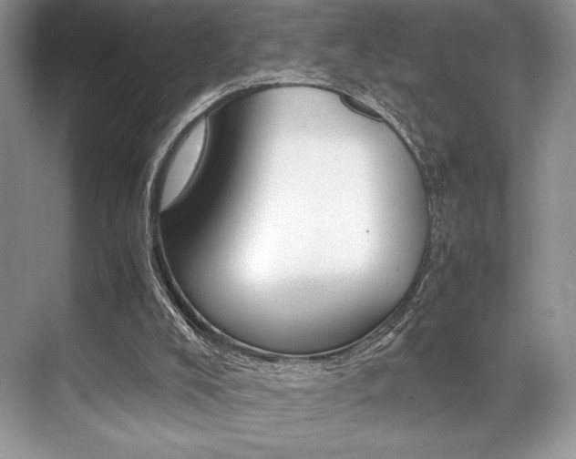 X0000071950008200607071051