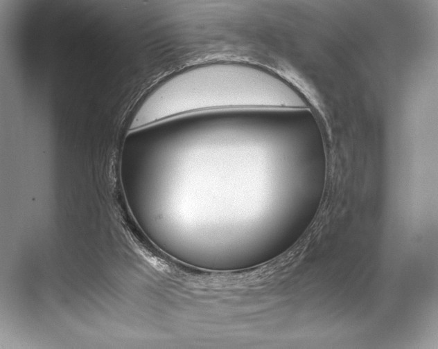 X0000071950009200607071051