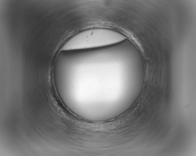 X0000071950010200607071051