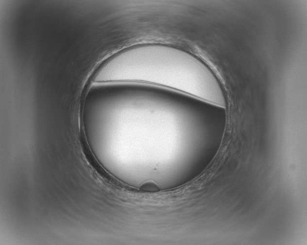 X0000071950011200607071051