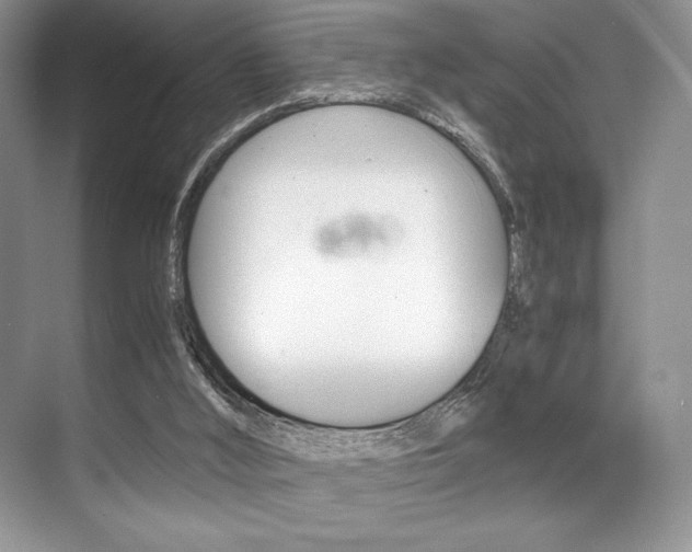 X0000071950012200607071051