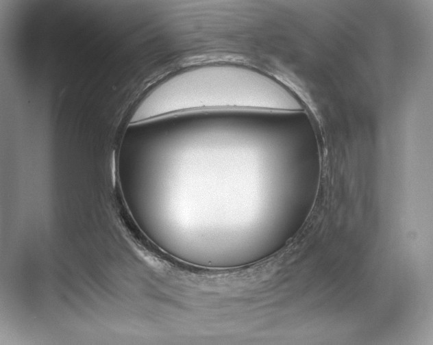 X0000071950013200607071051