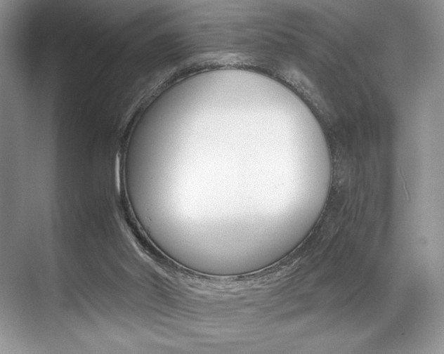 X0000071950014200607071051