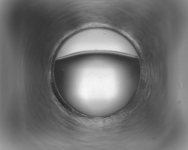 X0000071950015200607071051