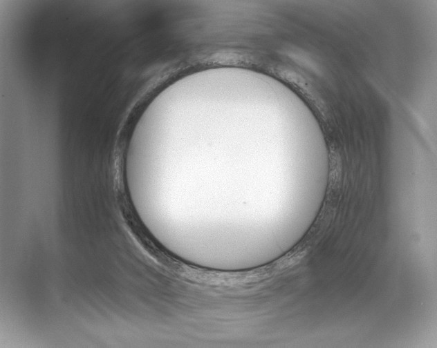 X0000071950016200607071051