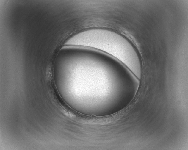 X0000071950017200607071051