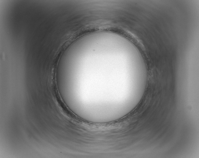 X0000071950018200607071051