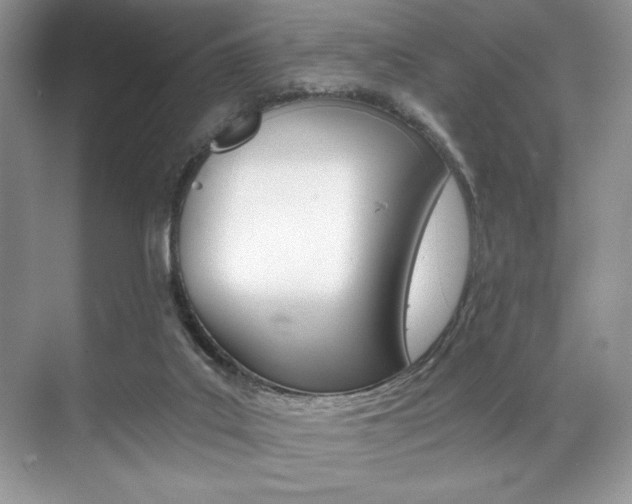 X0000071950019200607071051