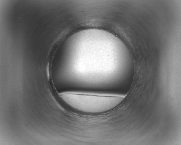 X0000071950020200607071051