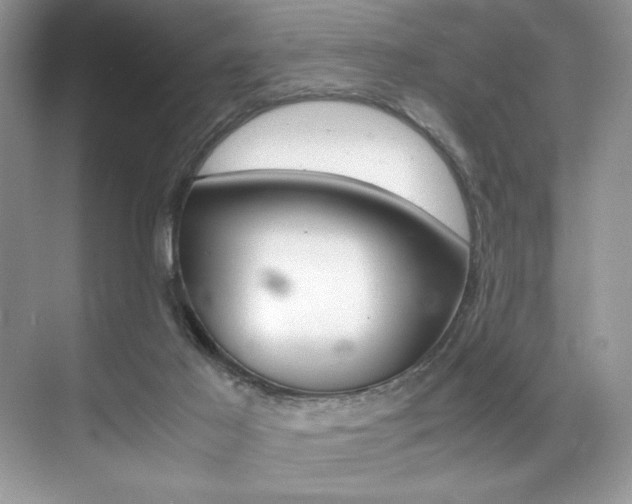 X0000071950021200607071051