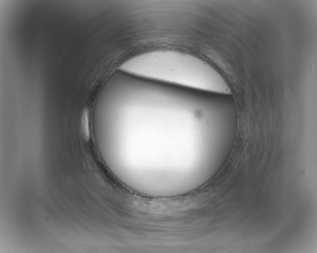 X0000071950022200607071051