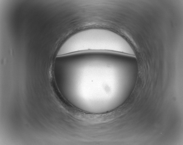 X0000071950023200607071051