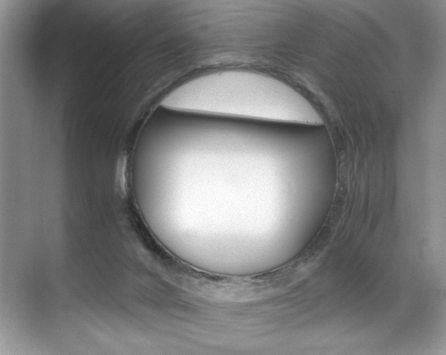 X0000071950024200607071051