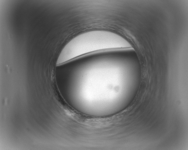 X0000071950025200607071051