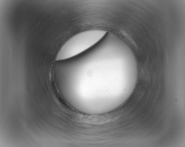 X0000071950026200607071051