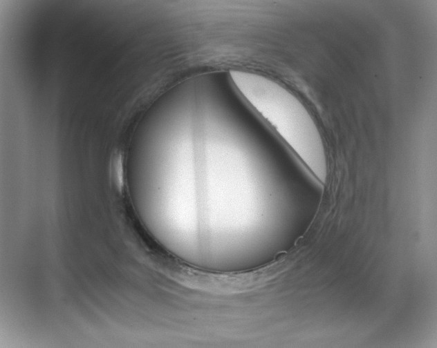 X0000071950027200607071051