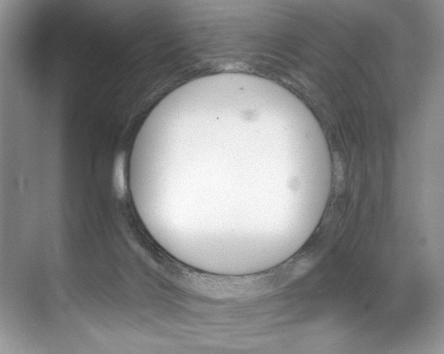 X0000071950028200607071050