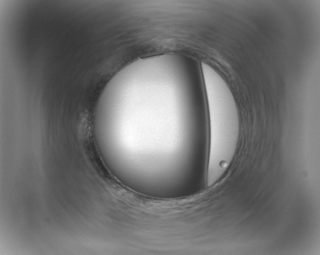 X0000071950029200607071050