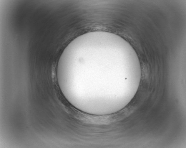 X0000071950032200607071050