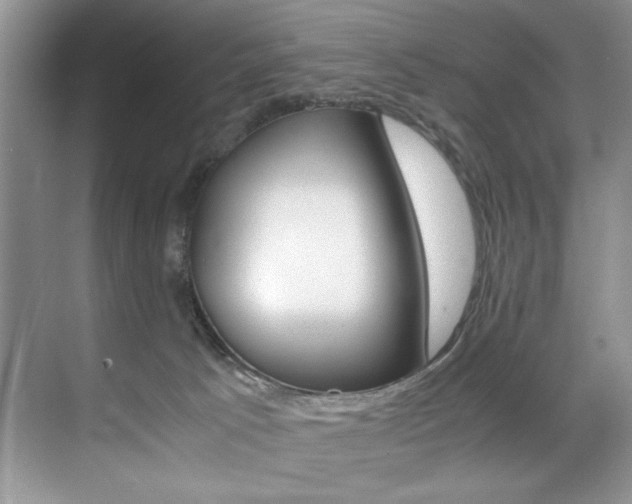 X0000071950033200607071050