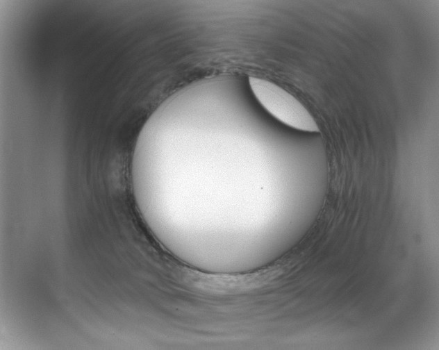 X0000071950034200607071050