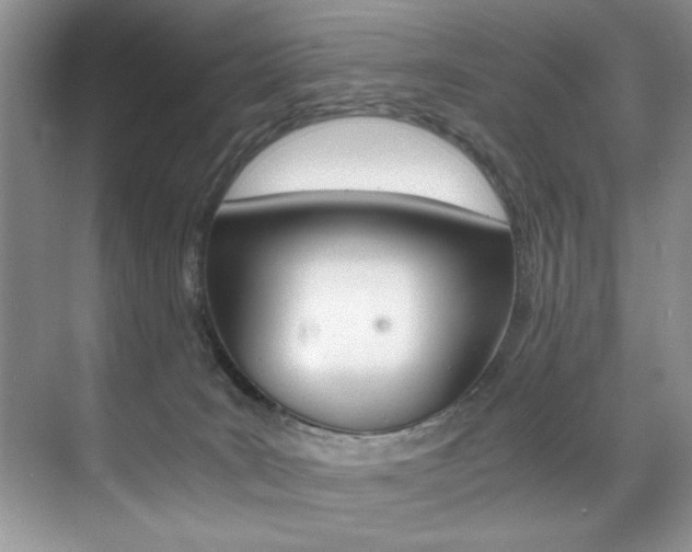 X0000071950035200607071050