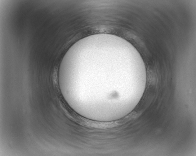 X0000071950036200607071050