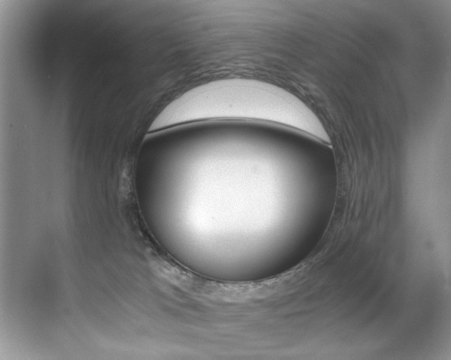 X0000071950037200607071050